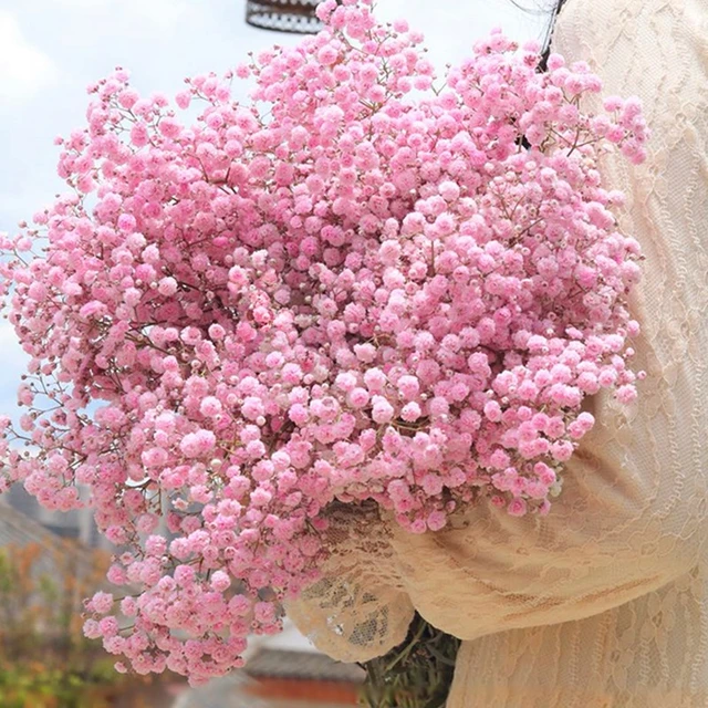 Baby Breath Bouquet Decoration  Artificial Babys Breath Flowers - Natural  Dried - Aliexpress