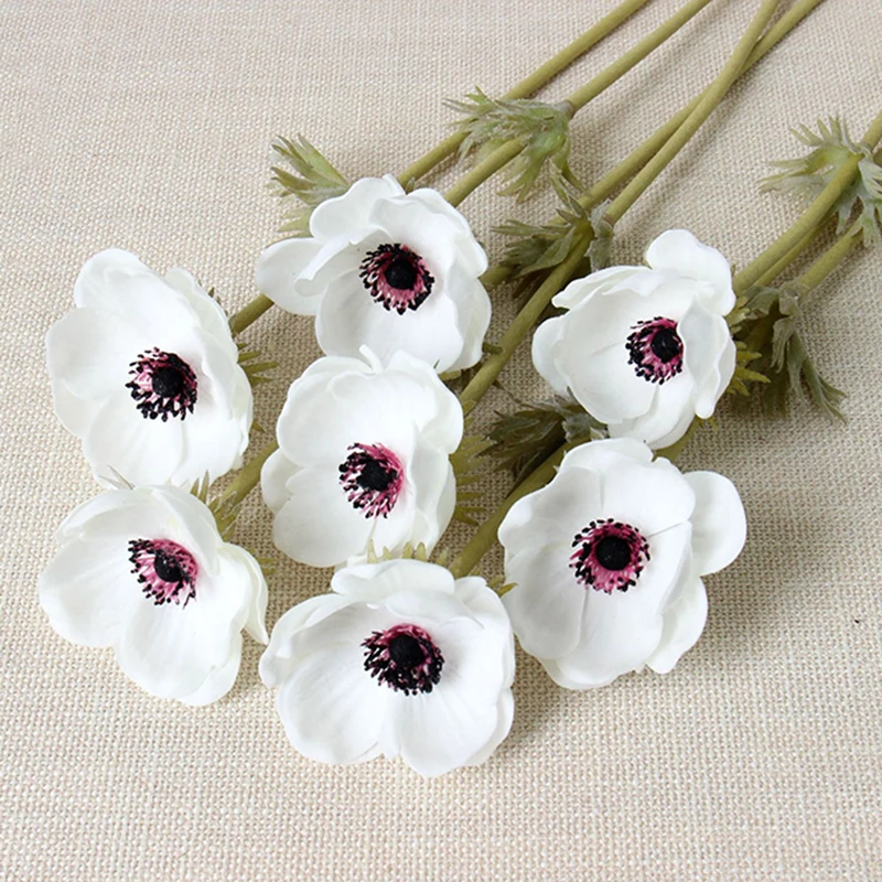 9093634919_1912732450