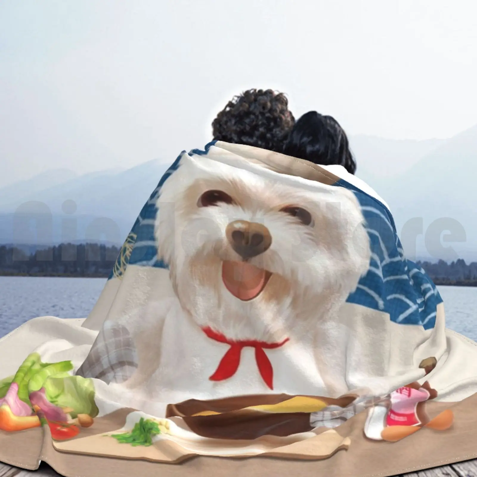 ���� �丮�� ��� ���� �ε巯�� ������ �� ���� �� �ֿ� ���� �� ���� Bichon frize ���� ���� �Ϳ��� ī���� �丮 ����