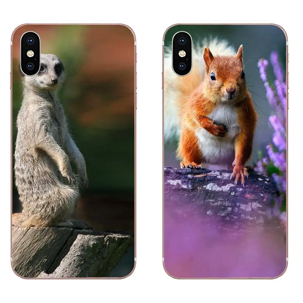 Чехол для мобильного телефона из ТПУ с изображением белки животных Xiaomi Redmi Note 8 8A 8T