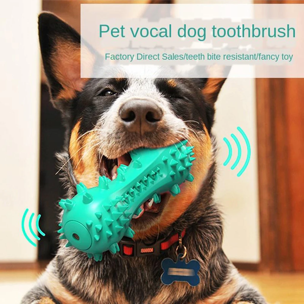 Dog Toothbrush Care Cleaning Stick Chew Toy Bite Resistant for All Breed of Dog