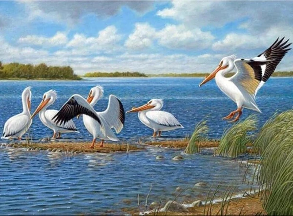

5D DIY Diamond Painting bird Full Square Drill Wall Sticker Rhinestone Landscape Diamond Embroidery Animal Handmade Home Decor