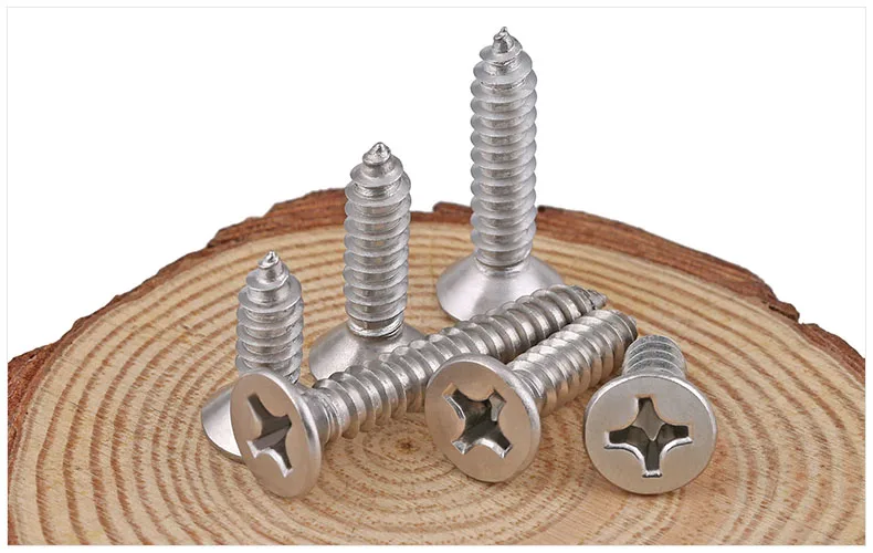 Self Tapping Screw 4