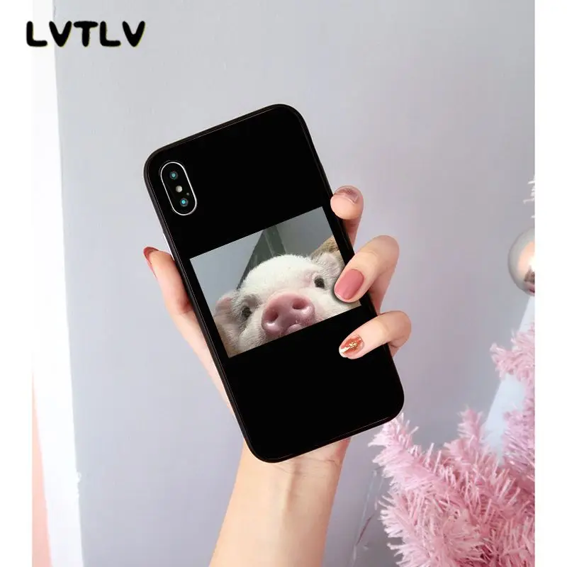 Cute Little Pink Pet Pig