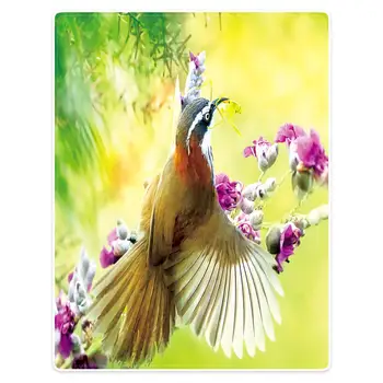 

HommomH 60 "X80" blanket polyester material healthy skin-friendly comfortable warmth light and soft plush sofa bird pattern