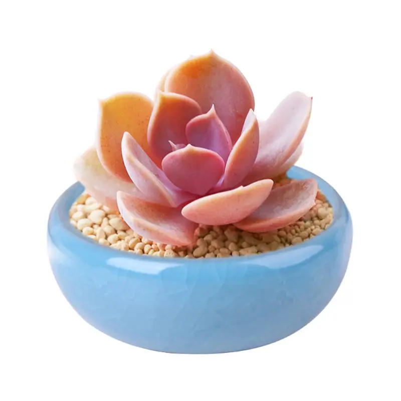 

8Pce/Set Mini Ice Crack Porcelain Flower Bonsai Pot Ceramic For Succulent Plant 72XF