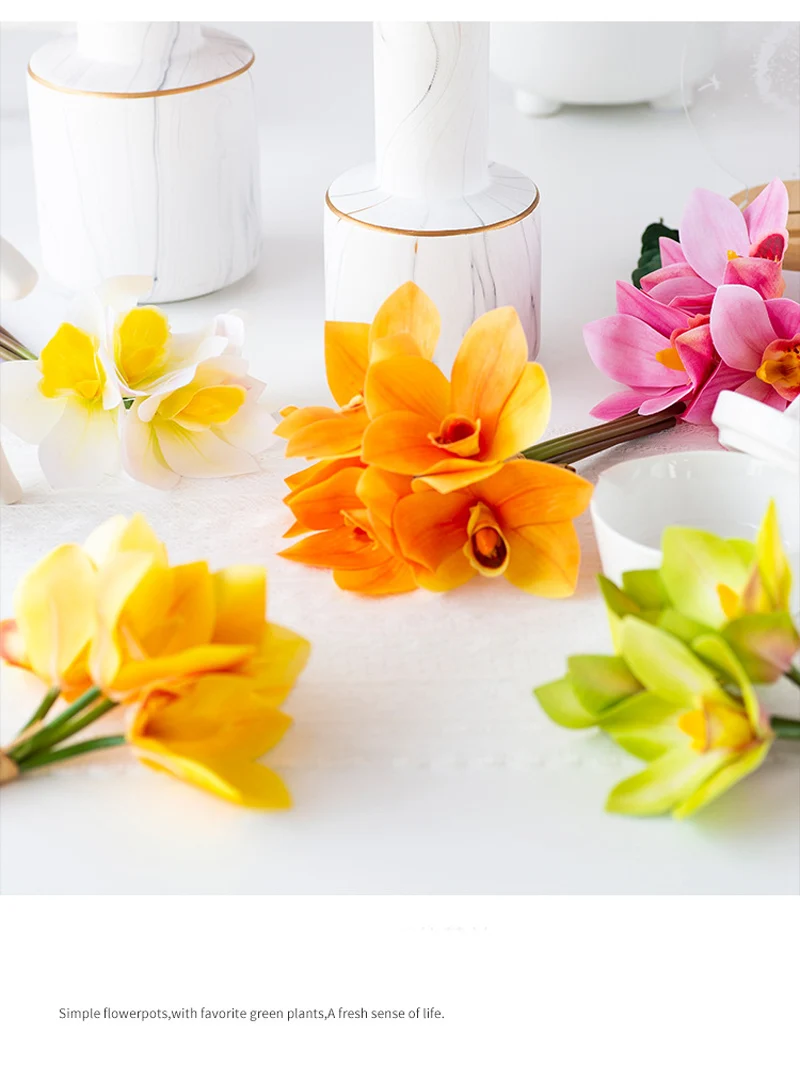 11120817345_97634003