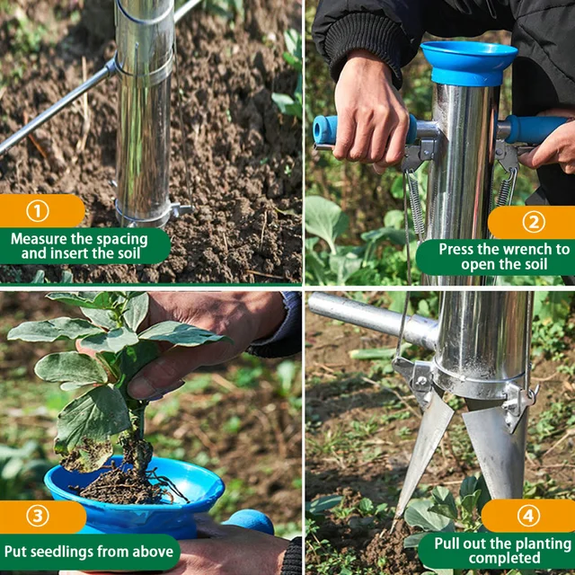 Rozsdamentes Acél Hagymát Ültetvényes Szerszámok És Zöldség Palánta Transzplanter Két Fogantyú Ajándékbab Vetőgéppel - Image 3