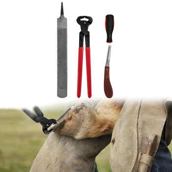 

4 Pieces Farrier Hoof Trim Tool Kit for Hoof Nipper Trim Shoeing Tool Horse Care Accessory