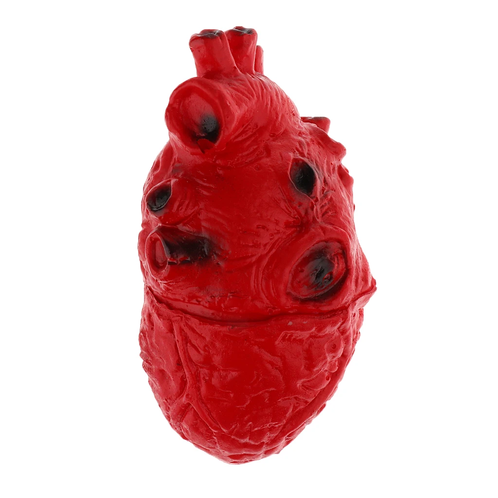 HUMAN HEART--Chop Shop Body Part Organ Halloween Horror Prop Decorations