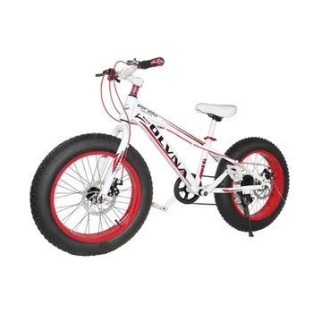 

4.0 large thick tire snowmobile beach variable speed student mountain bike new double disc brake bike 0A77