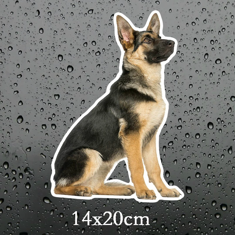 

DAWASARU Lovely Personality German Shepherd on Board Car Stickers Funny Sunscreen Custom Car Sticker Auto Decals 14CM*20CM