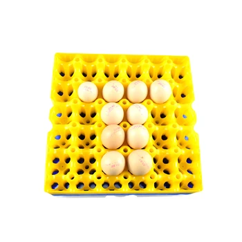 

6PCS egg tray crate box turnover transport device 30 eggs capacity plastic commercial layer farm tools poultry equipment
