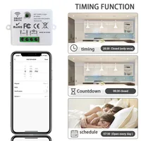 Mini WiFi Light Switch Timer Wall panel switch RF 220V Controller Tuya Smart Life APP Control Work With Alexa for Home Appliance - Image 4