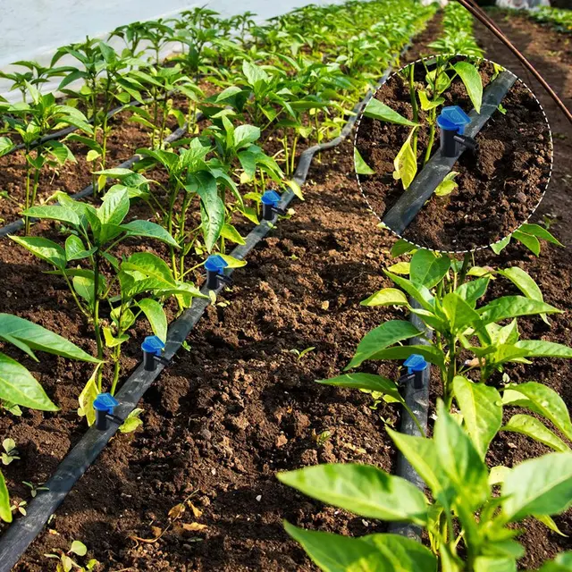 60 Darab Öntözés Csepegtető Emitter Kerti Zászló Öntözőcseppő, Fák És Cserjék (Kék Fekete, 2 Gph) - Image 4