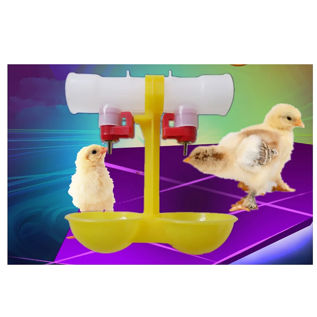 Double Feeder Drinker Poultry Drinker Cup Water Drinker For Poultry Chickens Hens Ducks Chicks, etc.