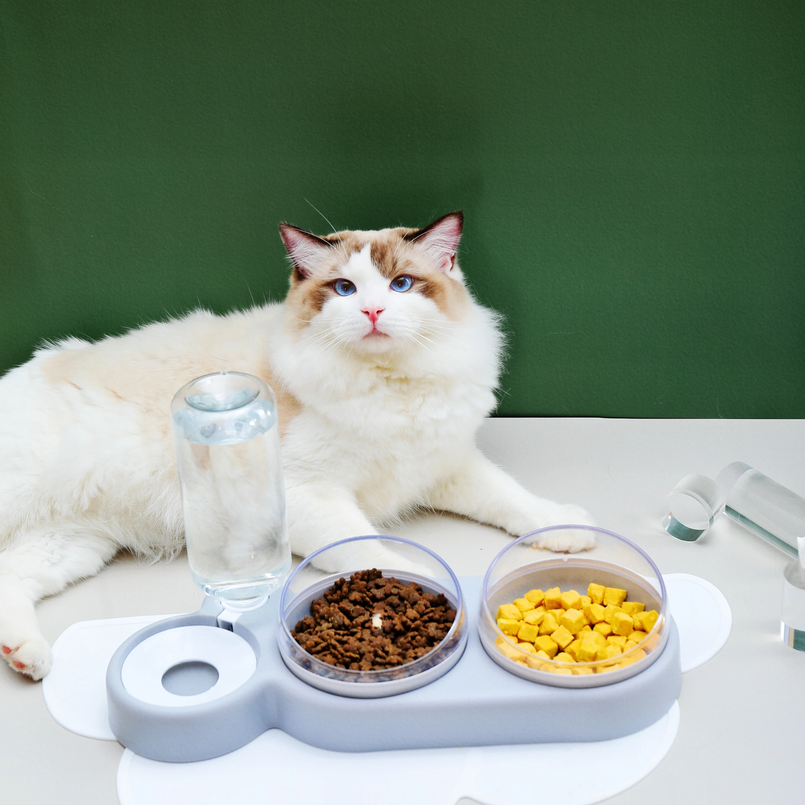 de comida para cães tigelas de design elevado com inclinação para garrafa de água para proteção da beber comida de animais de estimação