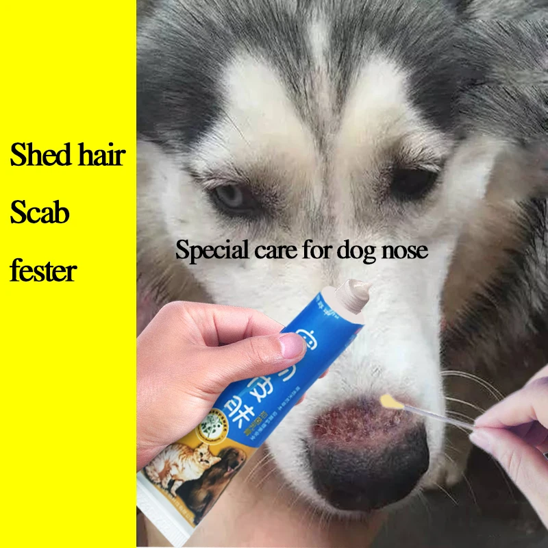 

Pet dog cat nose special care cream skin antibacterial cream Hair loss, scab and ulceration, solve a variety of skin problems