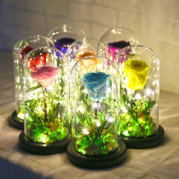 

Eternal Preserved Fresh Flower Rose Led Light In A Flask Immortal Rose for Valentine's Day Mother's Day Gifts