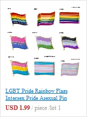 LGBT Pride флаги Радуга Intersex Pride Asexual Pin металлические значки для рюкзаков брошь ювелирные изделия