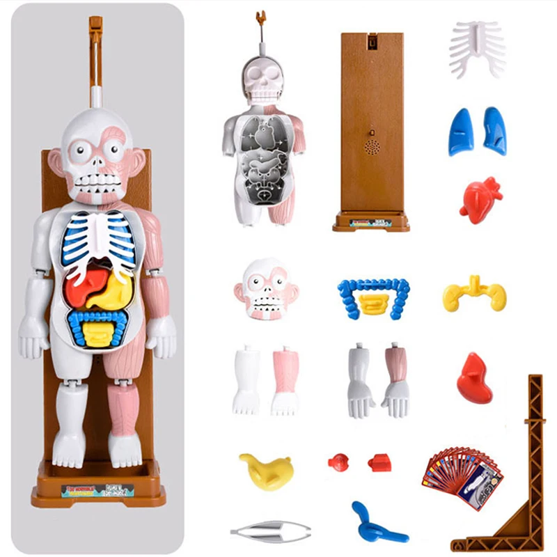 

New Toys Trick Joke Gag Funny Novelty Toy For Children Mounted Toy Model 3D puzzles Fun Games The Human Body Terrorist