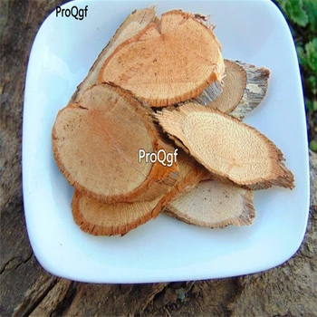 

Ngryise 250Gram A Set Vitiswilsonae Veitch