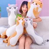 Fat and Thin Cat Plush Toys Animal Cat Cute Long Soft Toys Sleeping Pillow Cushion Stuffed Gift Doll for Kids Birthday ► Photo 2/6