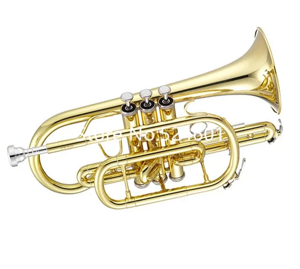 Heccd225f606e45278738002498d7a  