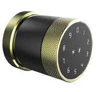 

TTLock APP Bluetooth Remote Control Fingerprint Lock Support password IC card Key for indoor used wooden Metal door