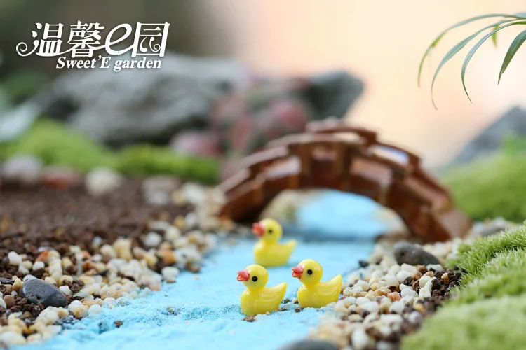 3355548843_393786582