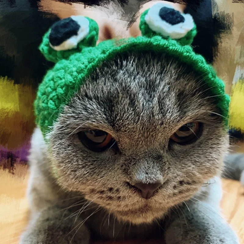 Бейсболка с кошкой для собак в форме животных головной убор для собак аксессуары колпачки для домашних животных собачьи шляпы Забавный костюм для домашних собак шапочка для домашних собак чихуахуа H1
