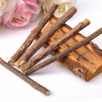 

5Pcs/Bag Pet Cat Snacks Matatabi Chew Catnip Stick Teeth Molar Cleaning Brush Toys PR Sale