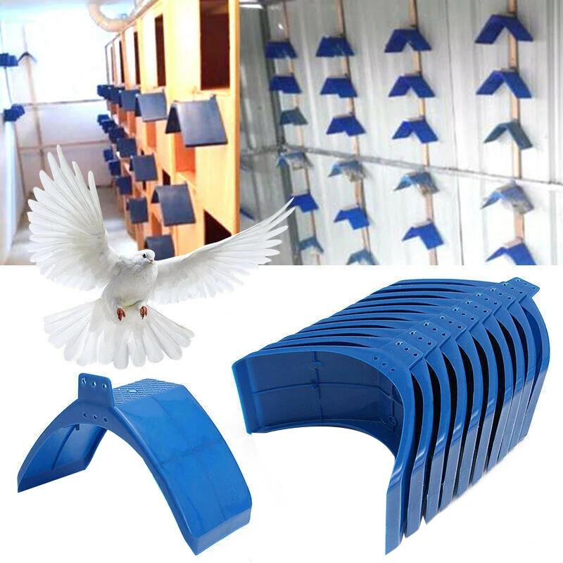 Best 20 Pcs Plastic Dove Rest Stand Dwelling Pigeon Perches Roost Bird Supplies