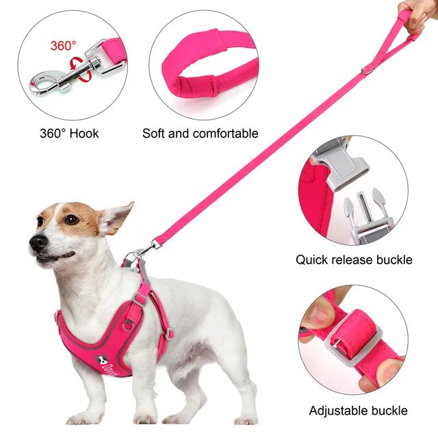 Designer Dog Harness And Leash Set Luxury Leather Pet Vest No Pull Durable  Lead Rope For Small Medium Large Dogs Airtag Holder - AliExpress