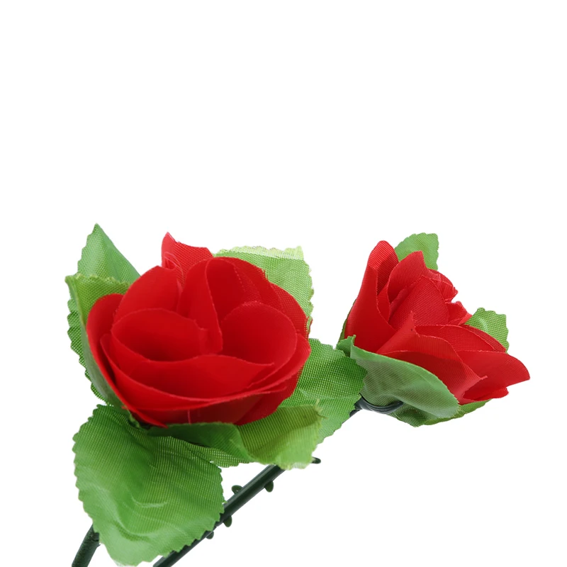 447585-447586 (1)