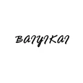 BaiKelly Store