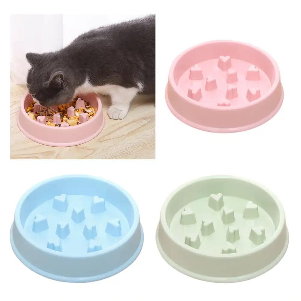 cat dishes to slow down eating