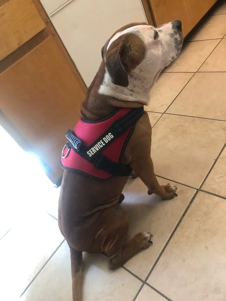 UTB8PzOLrSbIXKJkSaefq6yasXXaw