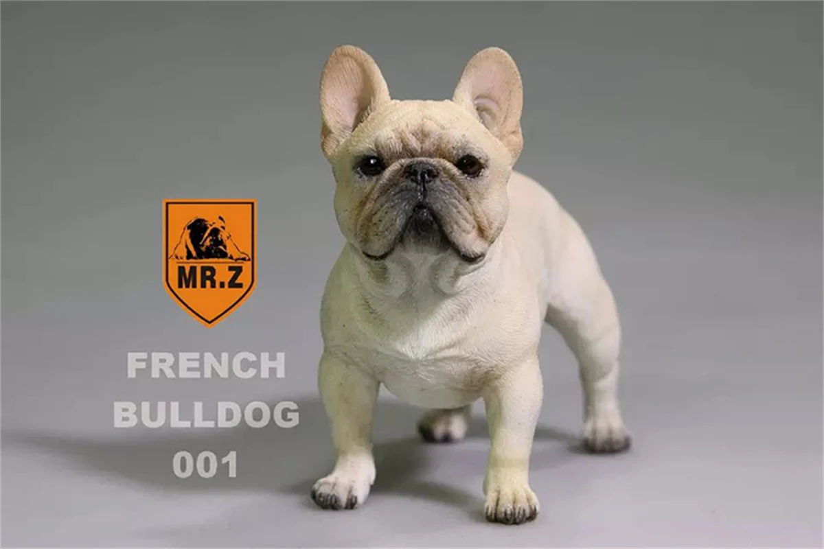 1:6 Mr.Z Pet French Bulldog Bull Dog Figure Animal Toys Collector Decoration