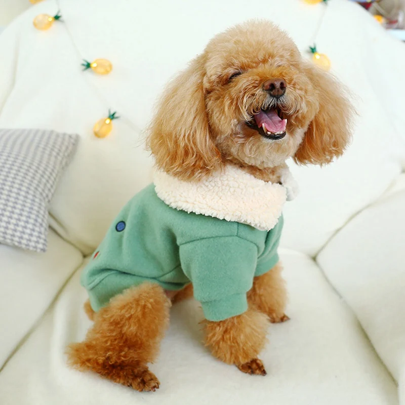 Одежда с принтом в виде собак теплая одежда книжная полка с фигурой мопса, Костюмы утепленное шерстяное пальто для маленьких собак 2 брюки с широкими штанинами забавная куртка для домашних животных теплые аксессуары