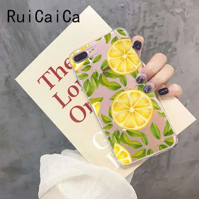 Cute Transparent Summer Fruit watermelon