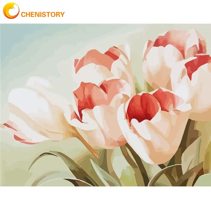 6808粉白郁金香-封面图