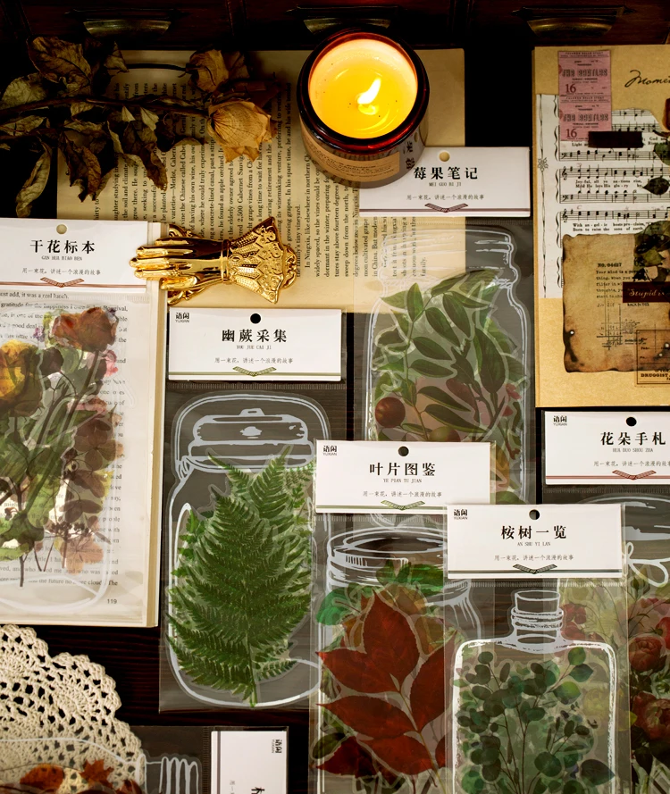 植物研究所贴纸包_01