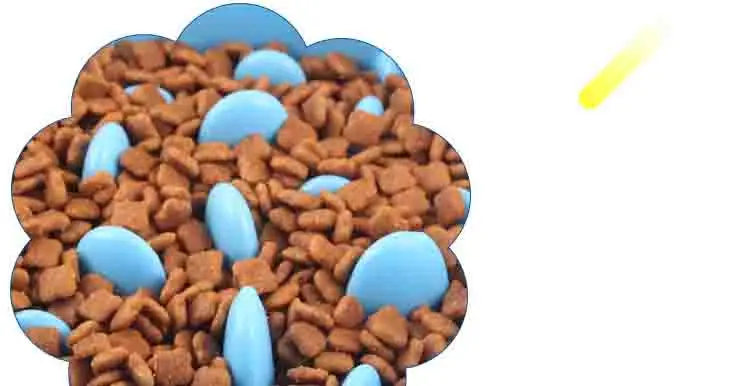 7667736880_1385283841