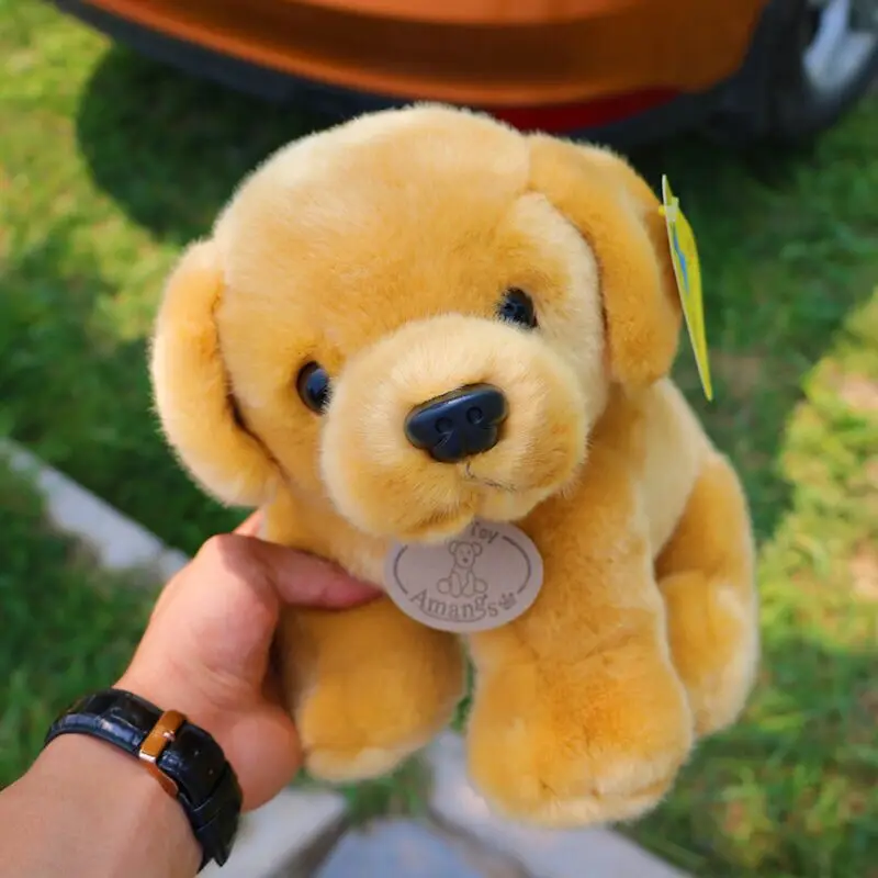 9145996649_915828808