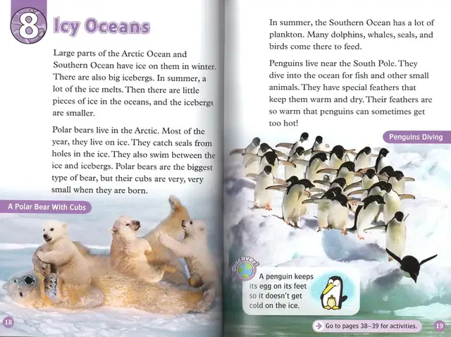 20 Pcs Set Oxford Read And Discover Imagine Level 4 English