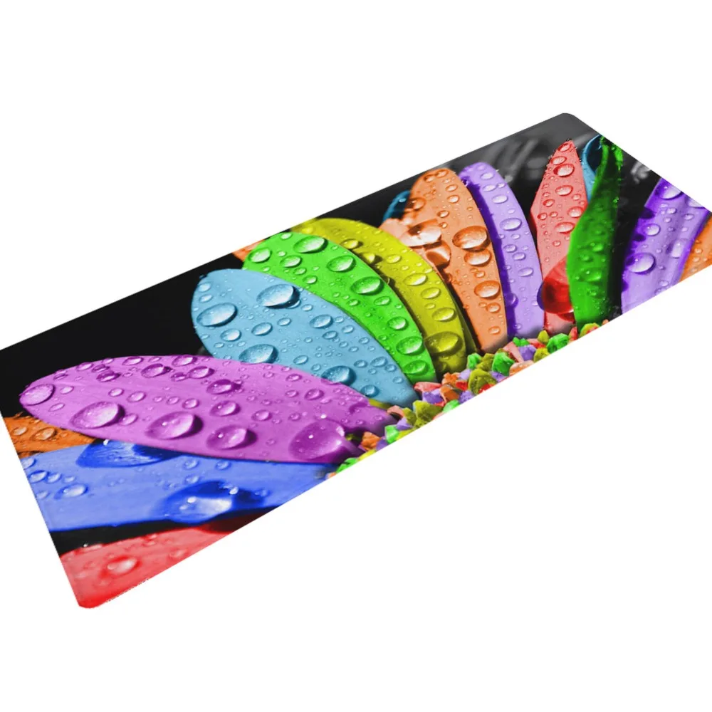 9520329507_383897006