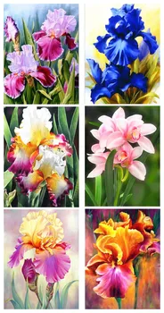 

5D DIY Diamond painting Moth orchid Flower Diamond Embroidered Cross stitch Rhinestone Picture Home Decoration Gift