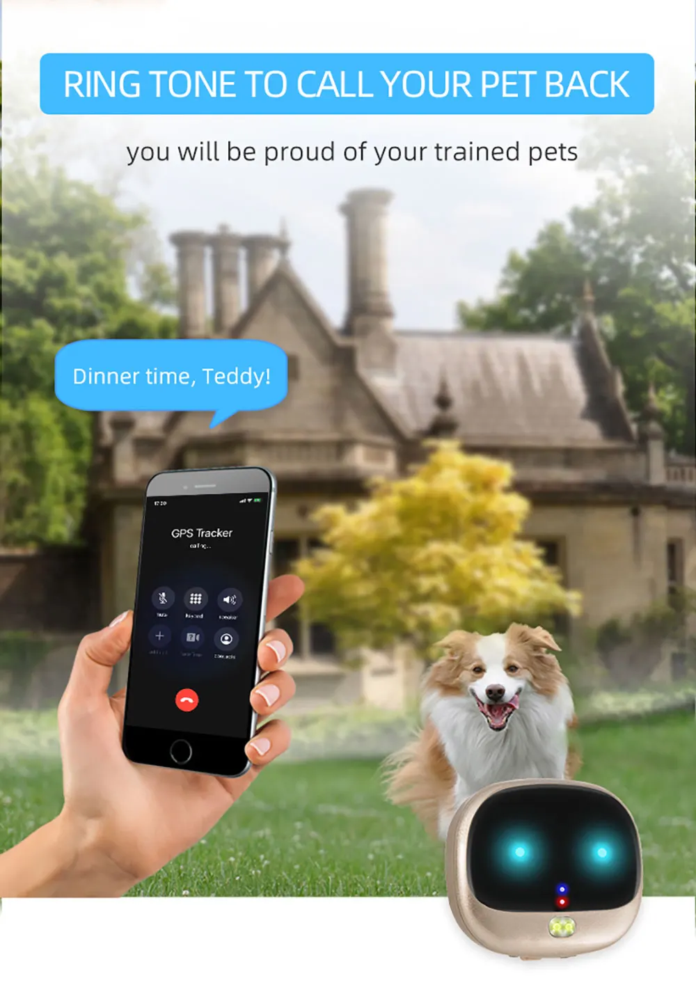 v47-宠物详情页英文版_09