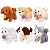New Nora Mini Pet Electric Dog Can Walk Or Wag Its Tail Imitation Plush Teddy Husky Children's Pet Dog Festival Gift 5